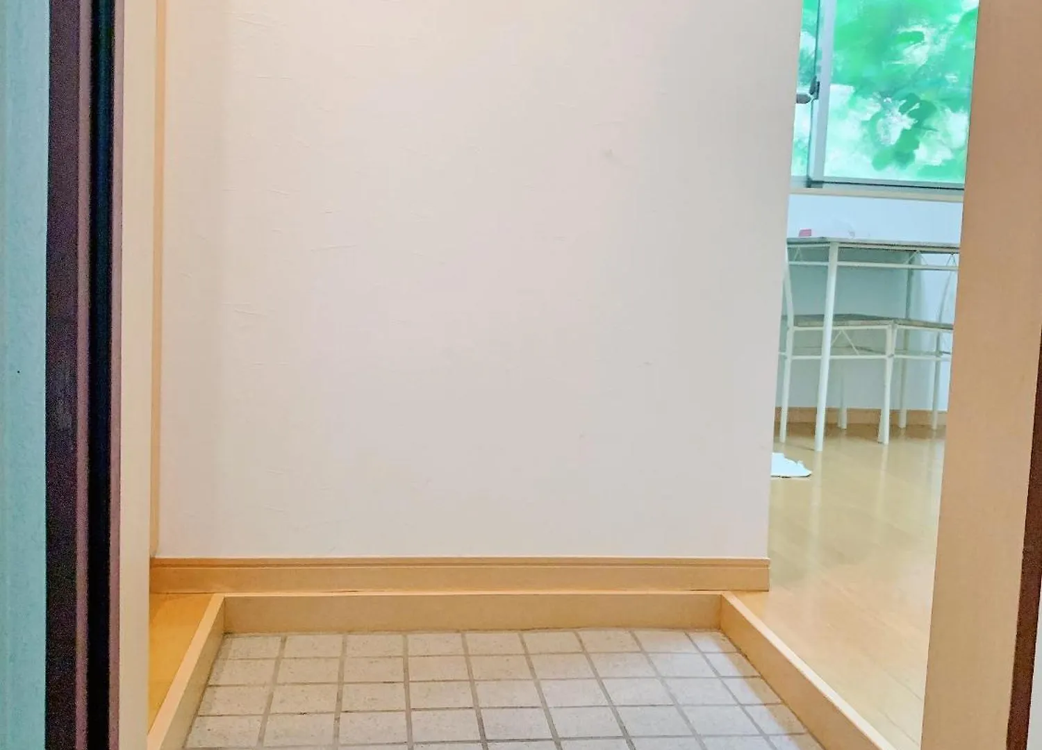 Takadababa 4 Mins Walk/新宿圈! 高速无限制网路/车站步行4分钟新装修公寓102 Tokyo